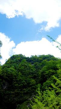 大山绿树 蓝天白云