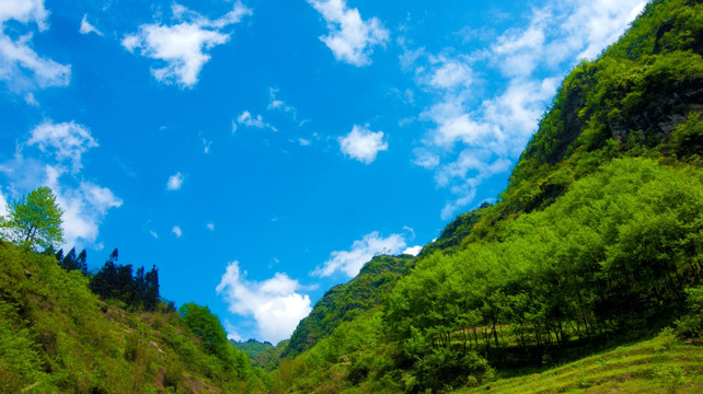 山地 绿树 蓝天白云