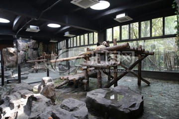上海野生动物园熊猫馆
