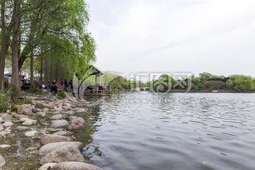 上海野生动物园人工湖