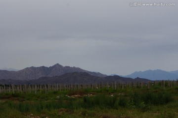 贺兰山