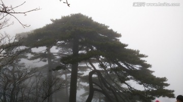 安徽黄山水墨雾景