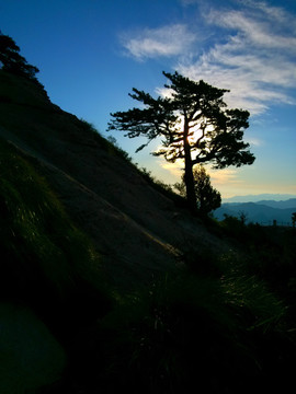 陕西华山