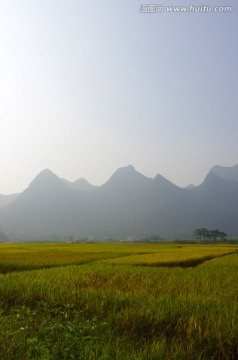 乡村田园 田园风景