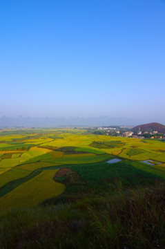 秋天 田野