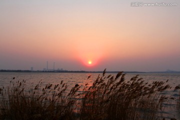 湿地 芦苇 湖泊 风景 水