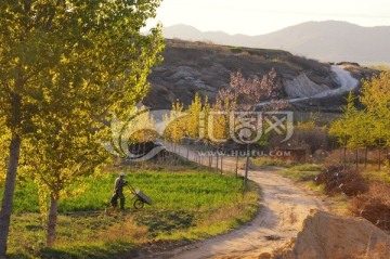 弯弯的小路