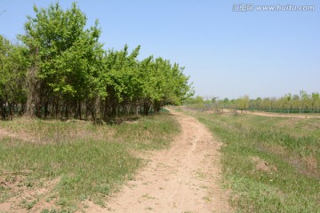 乡间小路