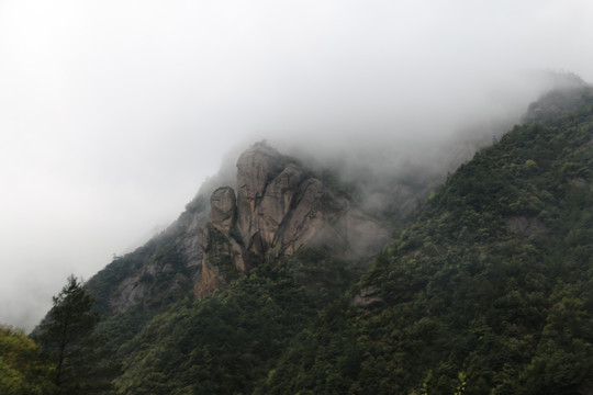 山中雾