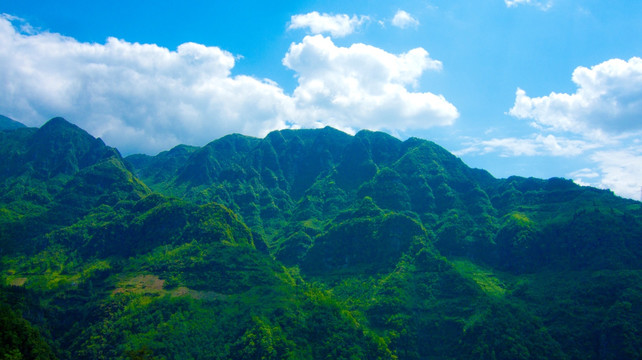青山  起伏的青山