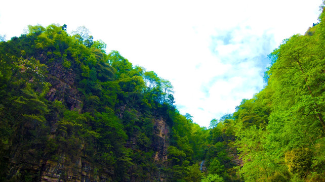 高山  青山