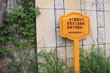 绿色植物墙