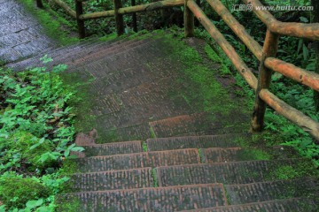 长满苔藓的石板路