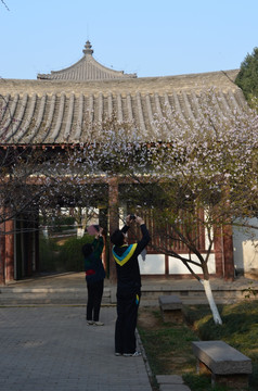 青龙寺