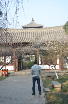 青龙寺