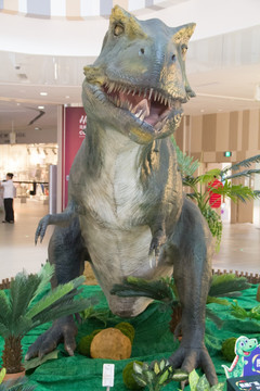 白垩纪晚期恐龙 暴龙 霸王龙