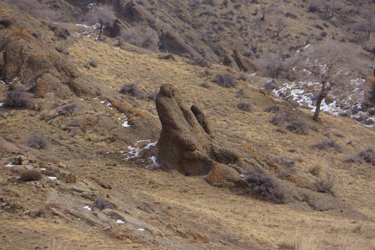 内蒙贺兰山