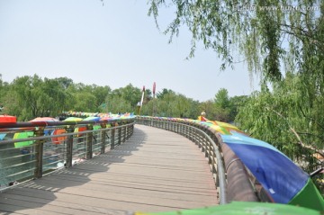 桥面春景