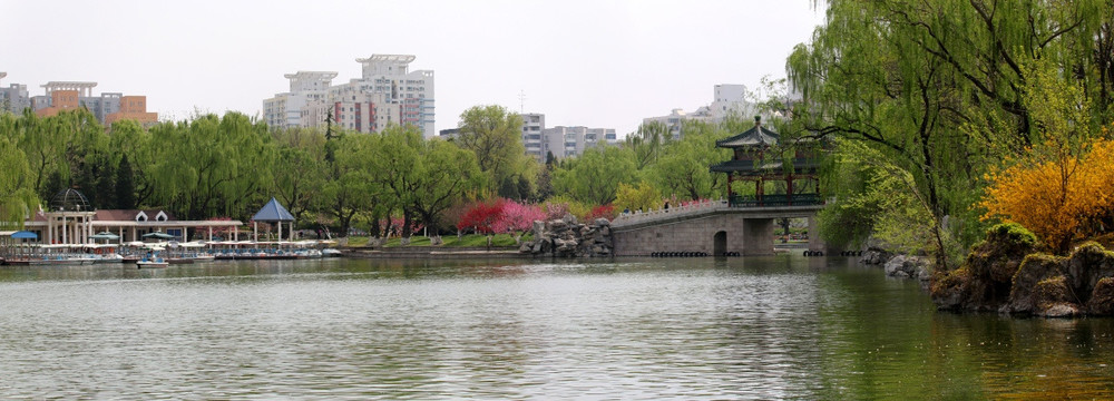 龙潭湖公园宽屏风景