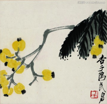 齐白石 花卉国画