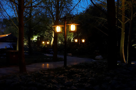 公园夜景
