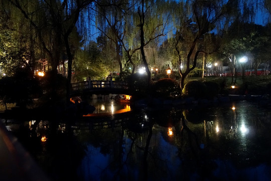 公园夜景
