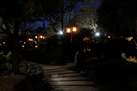 公园夜景