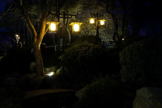 公园夜景