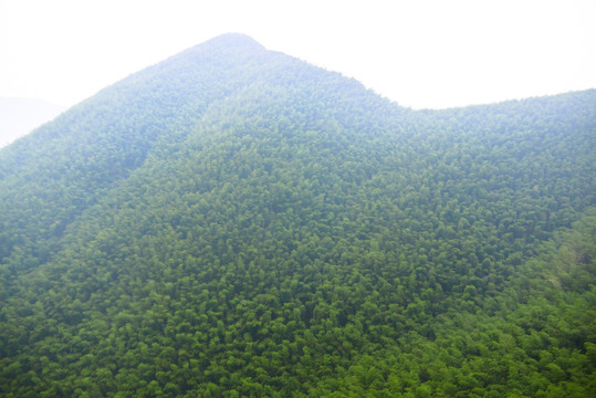 南山竹海