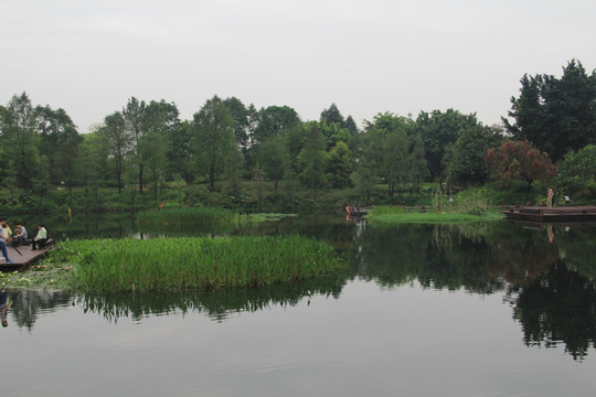 湿地公园