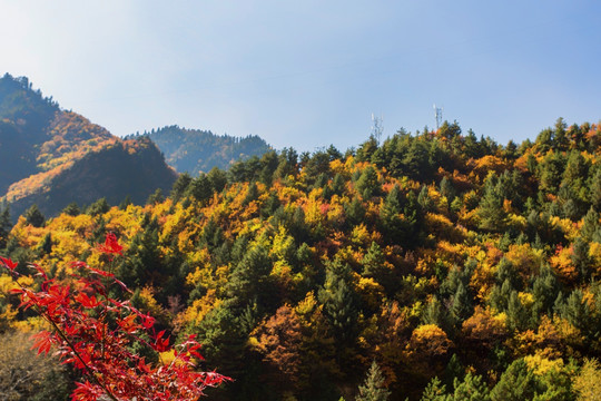 达古冰山景区风光