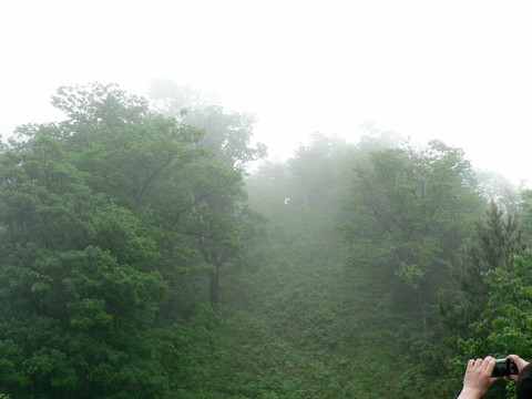 山上绿树云雾 拍照
