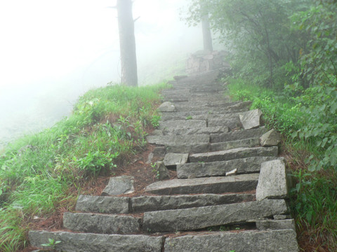 云雾山中 登山石阶