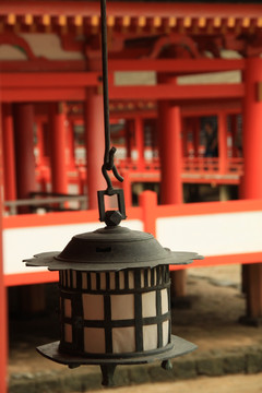 日本广岛县严岛神社红叶谷公园