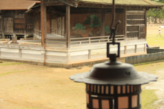 日本广岛县严岛神社红叶谷公园