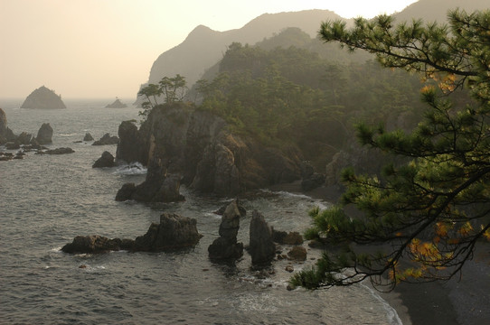 青海岛