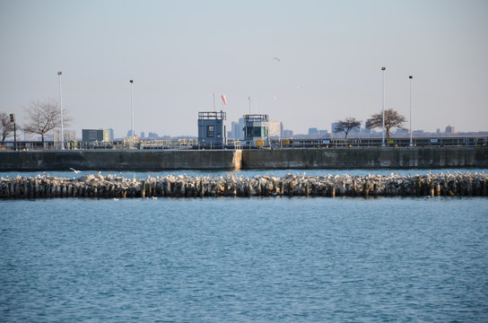  芝加哥海军码头