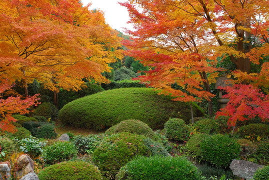 风景