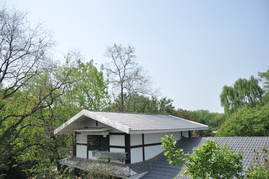林中屋