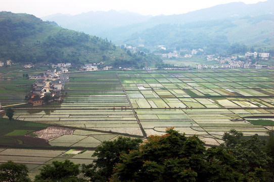 春天的田野