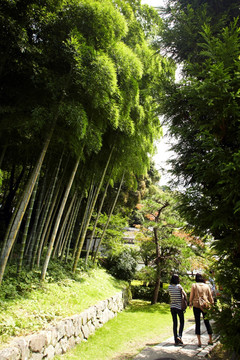 西芳寺