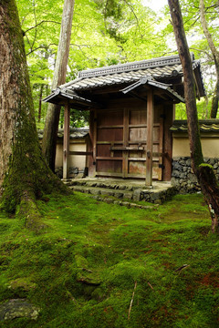 西芳寺