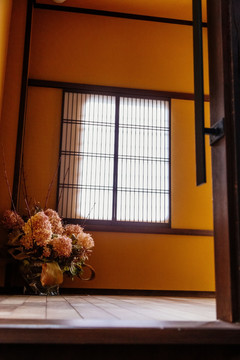 窗口的花