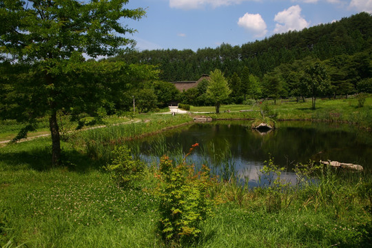 日本自然景观