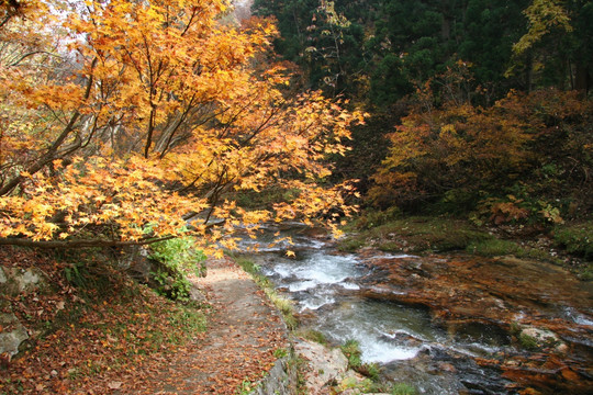 温泉银山