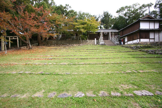 肥土山歌舞伎舞台草坪