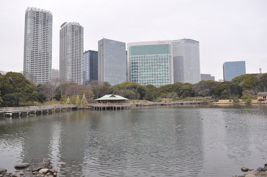 城市