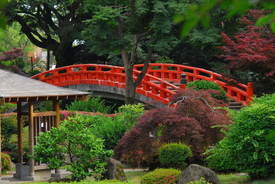 松川沿岸景观