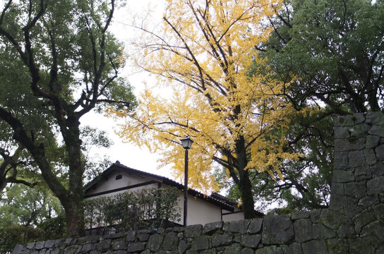 熊本城小村庄