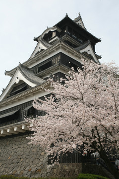 熊本城